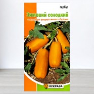Семена тыквы Зимняя сладкая, 2г, ТМ Яскрава